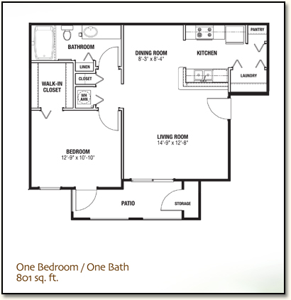 Lady Lake, FL Apartments with One Bedroom, 801 sq. ft.